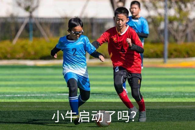 小牛启动了吗？